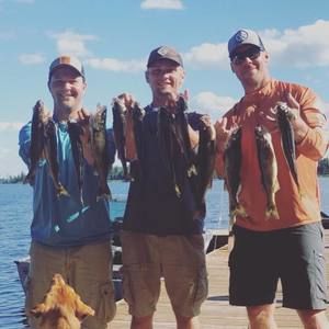 Meet your Posher, Peter